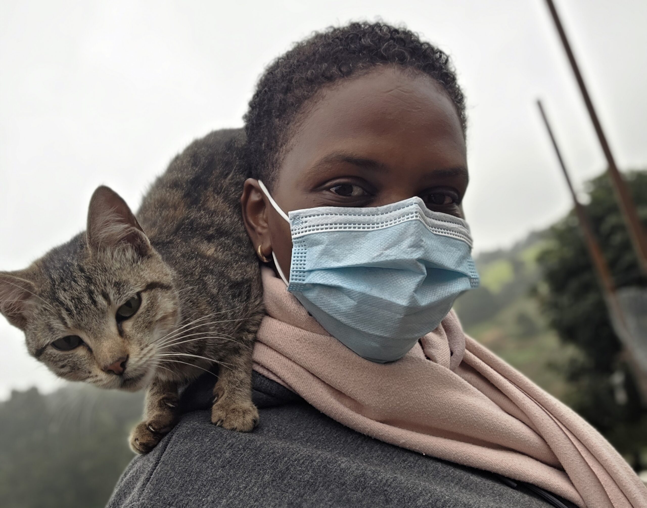 Hyperactive cats can be incredibly loving—but incredibly exhausting. You’re not a bad pet parent for feeling overwhelmed.