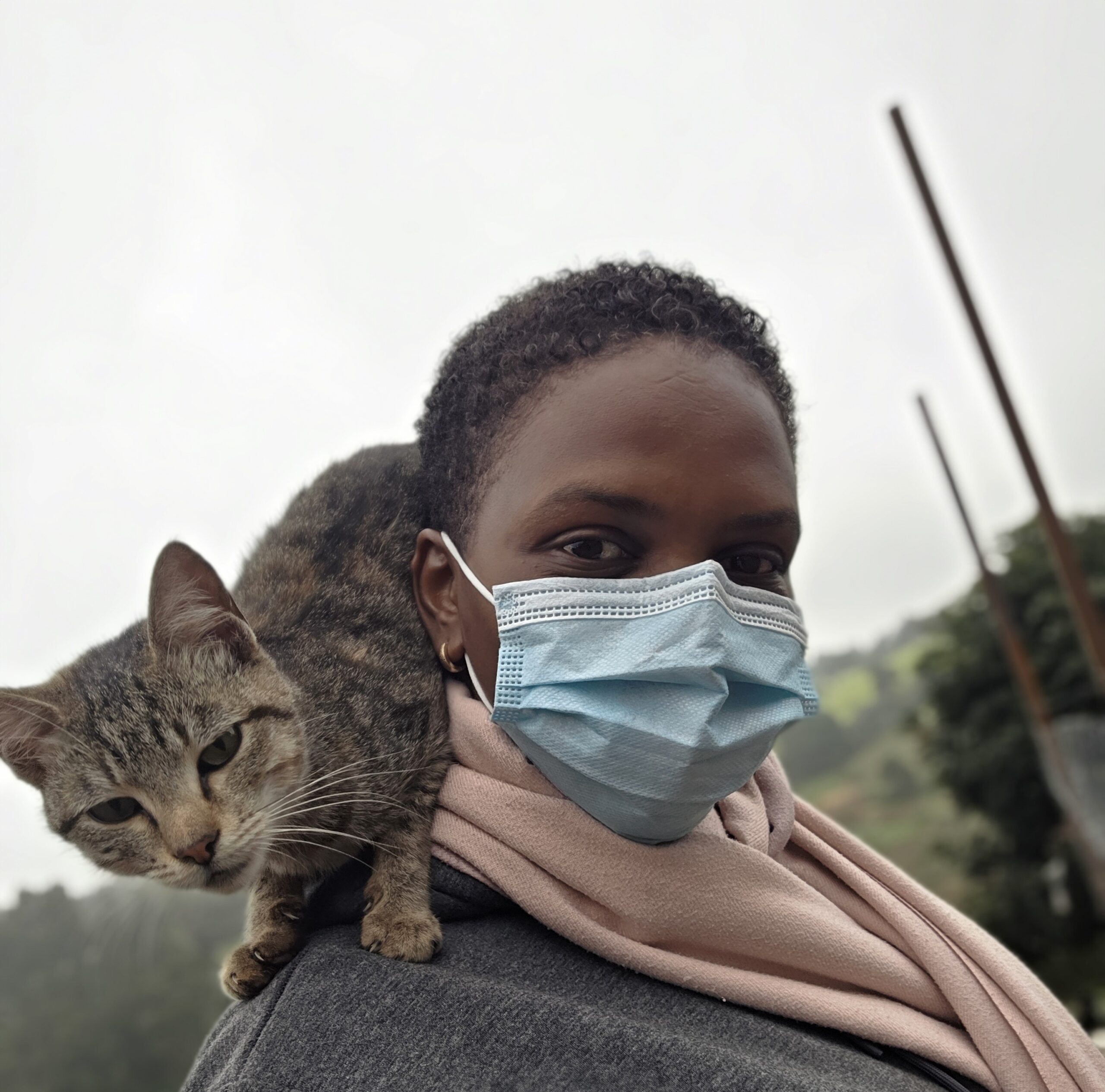 Hyperactive cats can be incredibly loving—but incredibly exhausting.