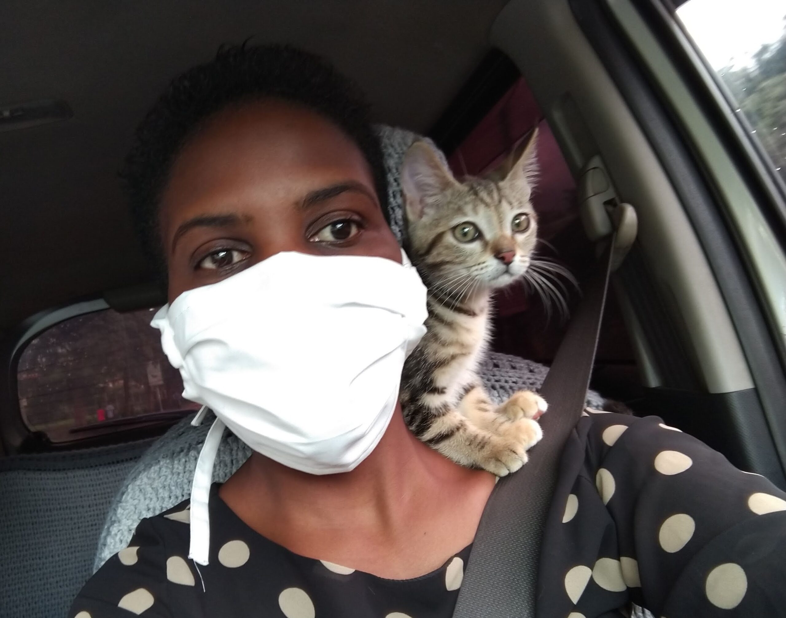 Suss, the shoulder cat.